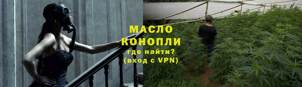 дживик Майский
