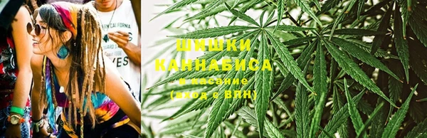 дживик Майский