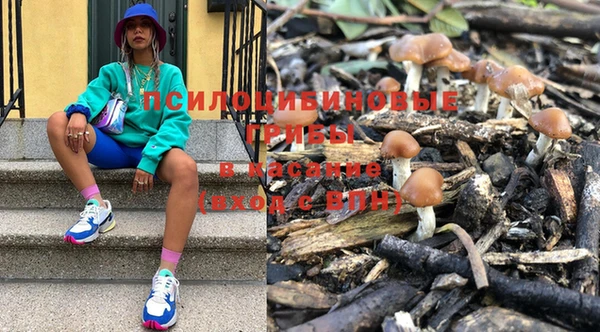 прущий лед Липки