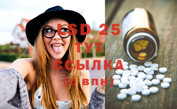 дживик Майский