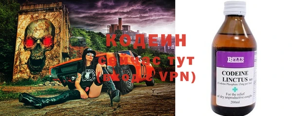 твердый Невьянск