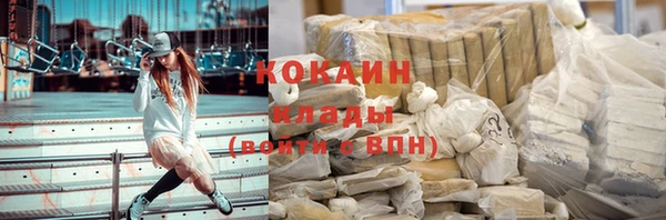 дживик Майский