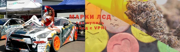 дживик Майский